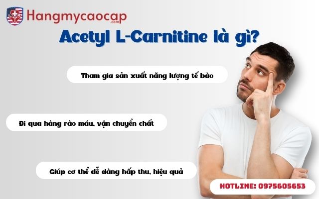 Acetyl L-Carnitine