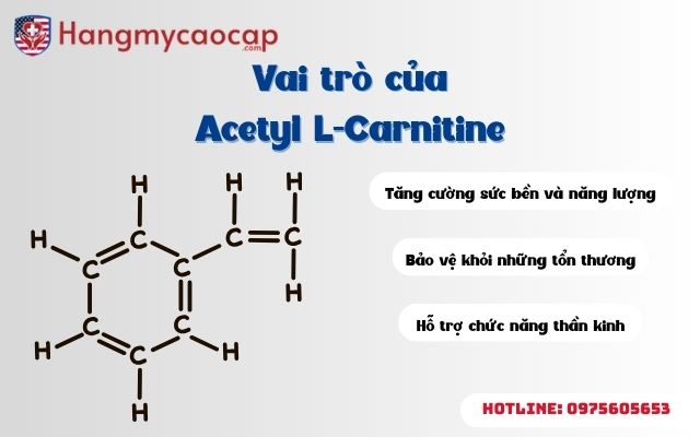 Acetyl L-Carnitine vai trò