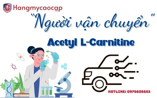 Acetyl L-Carnitine