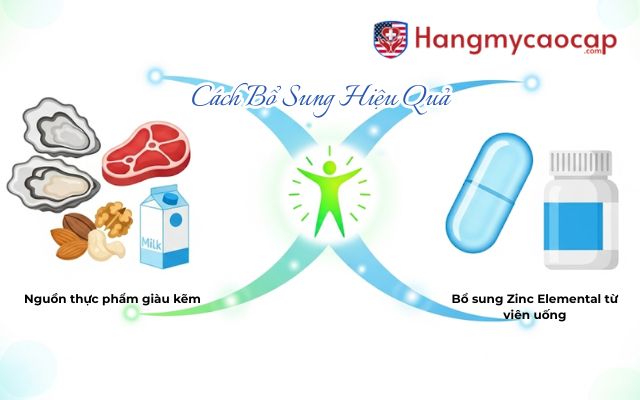 Nguồn Cung Cấp Zinc Elemental Và Cách Bổ Sung Hiệu Quả