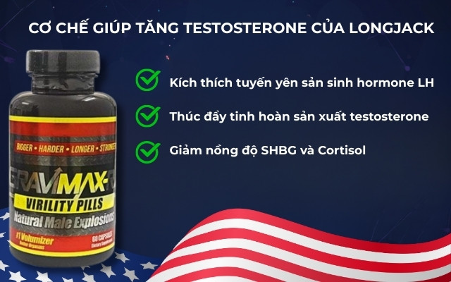Cơ Chế Giúp Tăng Testosterone Của Longjack