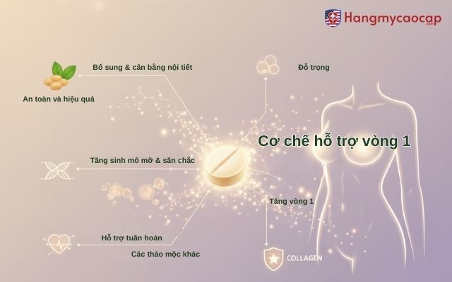 Cơ chế hỗ trợ vòng 1