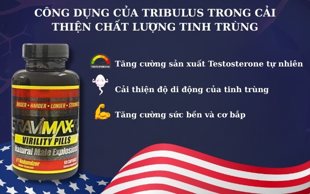 Công Dụng Của Tribulus Trong Cải Thiện Chất Lượng Tinh Trùng