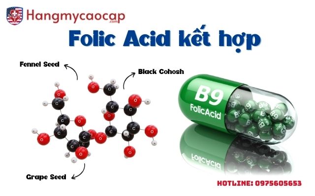 folic acid kết hợp