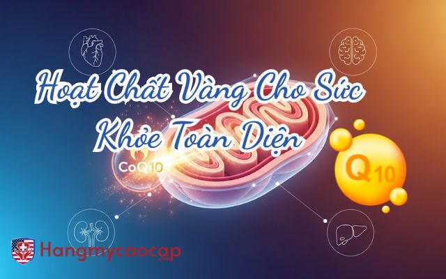 Co Enzyme Q10 hoạt chất bảo vệ tim mạch