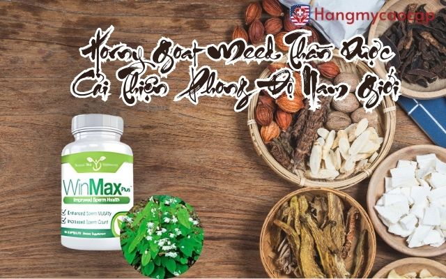 Horny Goat Weed Thần Dược