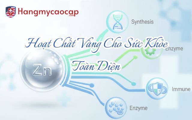 Kẽm Hỗ Trợ Miễn Dịch