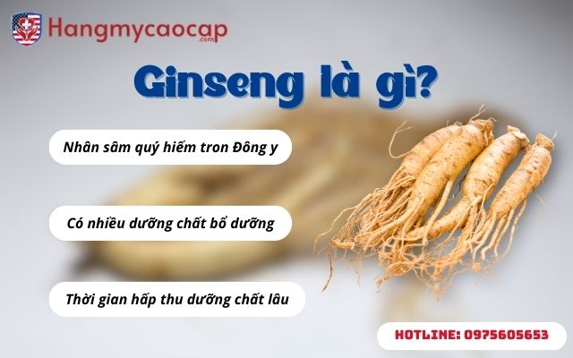 Ginseng là gì