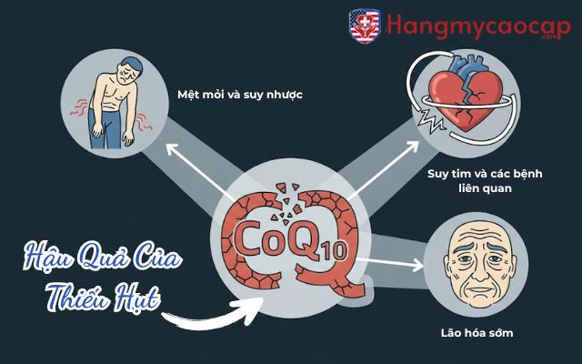 Hậu Quả Của Thiếu Hụt Co Enzyme Q10