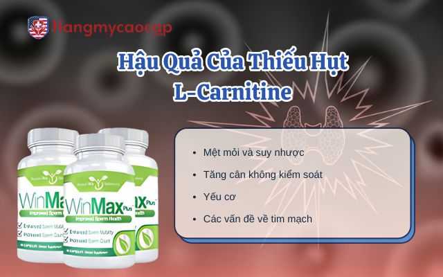 Hậu Quả Của Thiếu Hụt L-Carnitine