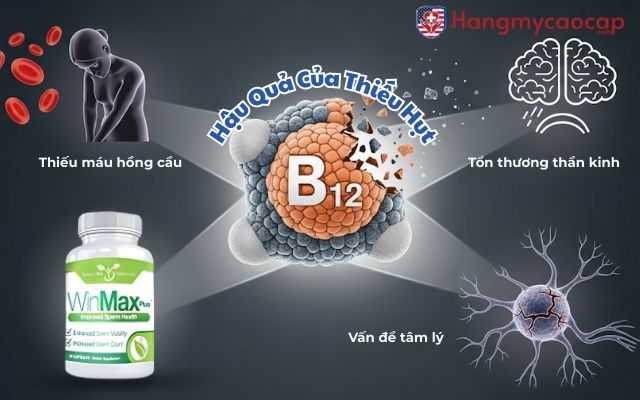 Hậu Quả Của Thiếu Hụt Vitamin B12
