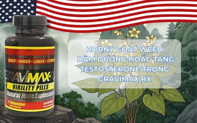 Horny Goat Weed là Gì