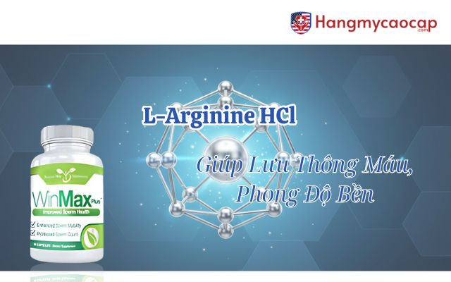L-Carnitine là gì và sự khác biệt với Acetyl L-Carnitine?