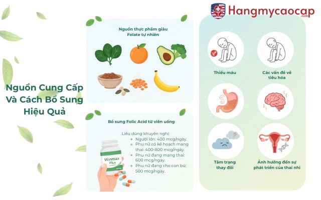 Hậu Quả Của Thiếu Hụt Folic Acid