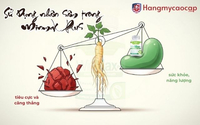 Lưu Ý Khi Sử Dụng Ginseng