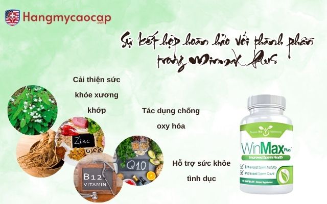 Sự kết hợp hoàn hảo của Horny Goat Weed với các thành phần trong Winmax Plus