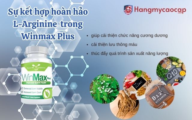 Sự kết hợp hoàn hảo của L-Arginine với các thành phần trong Winmax Plus