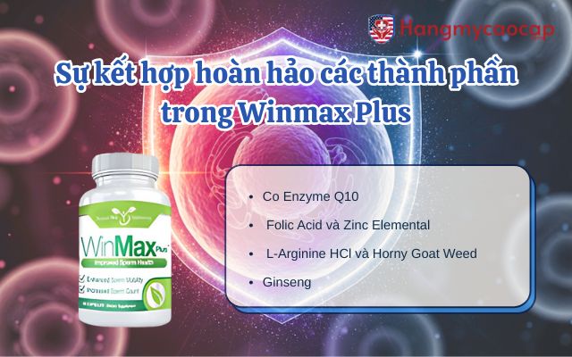 Sự kết hợp hoàn hảo của L-Carnitine với các thành phần trong Winmax Plus
