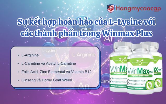 Sự kết hợp hoàn hảo của L-Lysine với các thành phần trong Winmax Plus