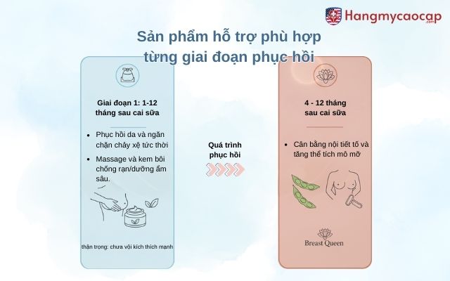 Sản phẩm hỗ trợ phù hợp từng giai đoạn phục hồi