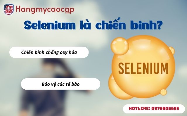 Selenium là gì