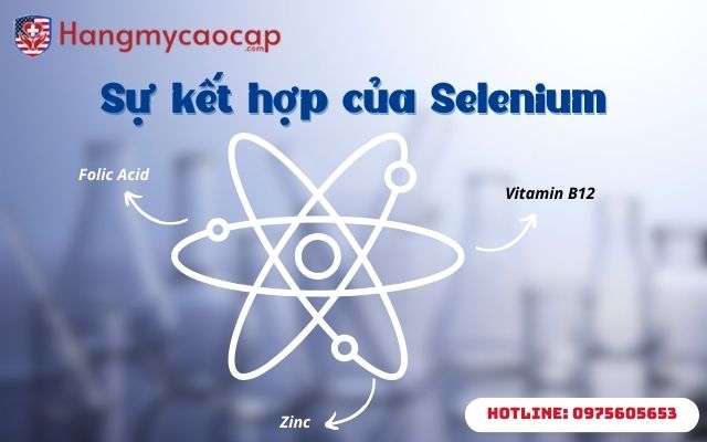 Sự kết hợp của Selenium