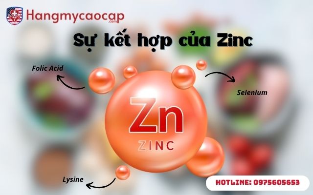 Sự kết hợp của Zinc
