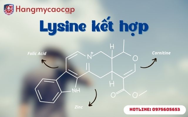 Sự kết hợp của lysine