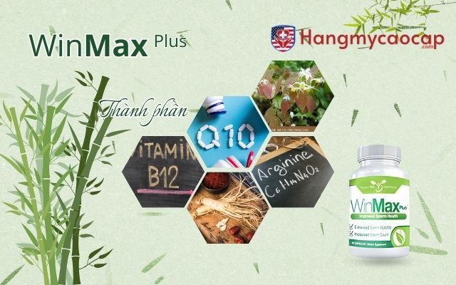 Thành phần chính trong Winmax Plus và cơ chế tác dụng