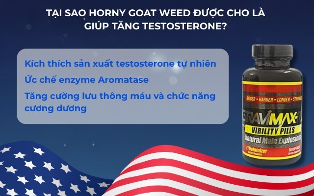 Tại Sao Horny Goat Weed Được Cho Là Giúp Tăng Testosterone