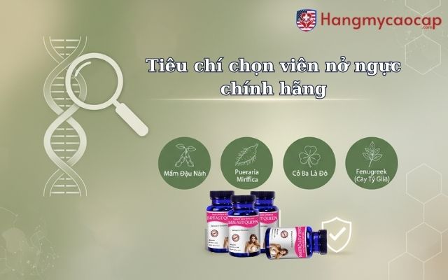Tiêu chí chọn viên nở ngực chính hãng