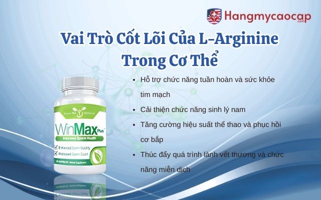 Vai Trò Cốt Lõi Của L-Arginine Trong Cơ Thể