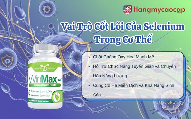 Vai Trò Cốt Lõi Của Selenium Trong Cơ Thể