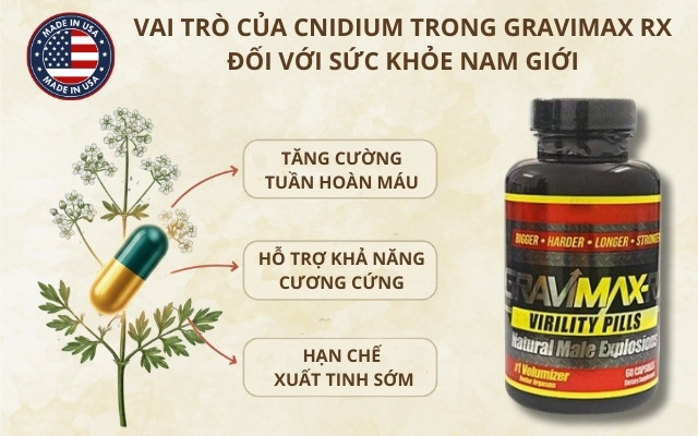 Vai Trò Của Cnidium Trong Gravimax Rx Đối Với Sức Khỏe Nam Giới