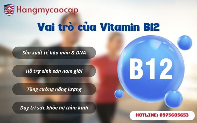 Vai trò của Vitamin B12