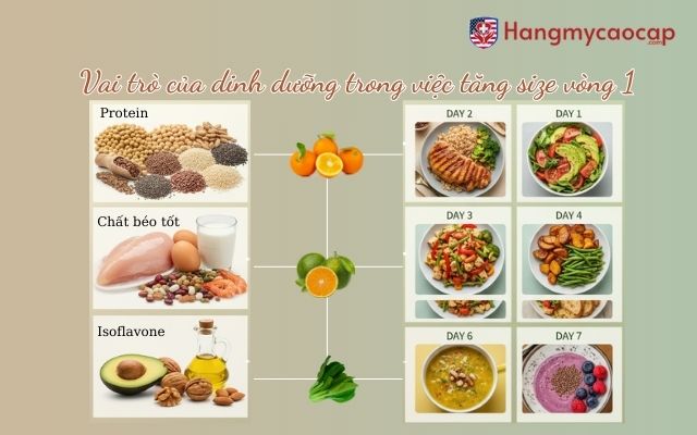 Vai trò của dinh dưỡng trong việc tăng size vòng 1