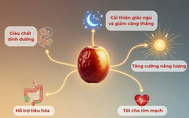 Vì Sao Jujube Được Dùng Để Bồi Bổ Cơ Thể