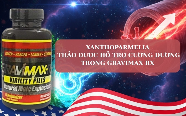 Xanthoparmelia Là Gì