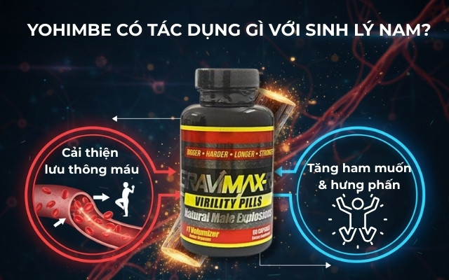 Yohimbe Có Tác Dụng Gì Với Sinh Lý Nam