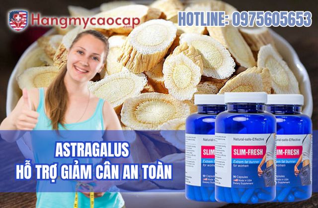 astragalus hỗ trợ giảm cân an toàn