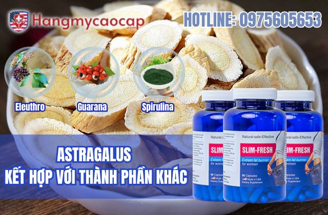 astragalus kết hợp với các thành phần khác trong slim fresh