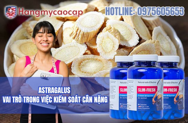 vai trò của astragalus trong slim fresh