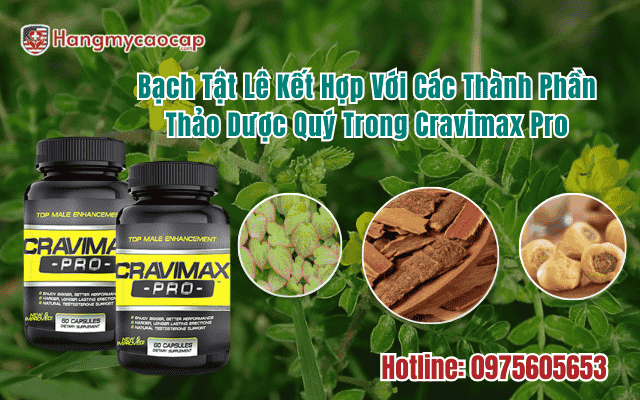 bach-tat-le-ket-hop-voi-cac-thanh-phan-thao-duoc-khac-trong-cravimax-pro