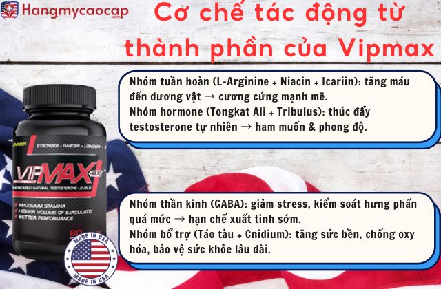Cơ chế tác động từ thành phần của Vipmax RX 