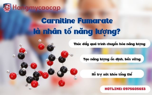 Carnitine Fumarate