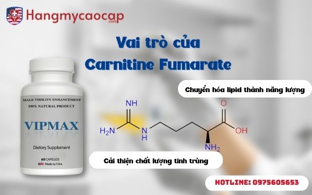 Carnitine Fumarate
