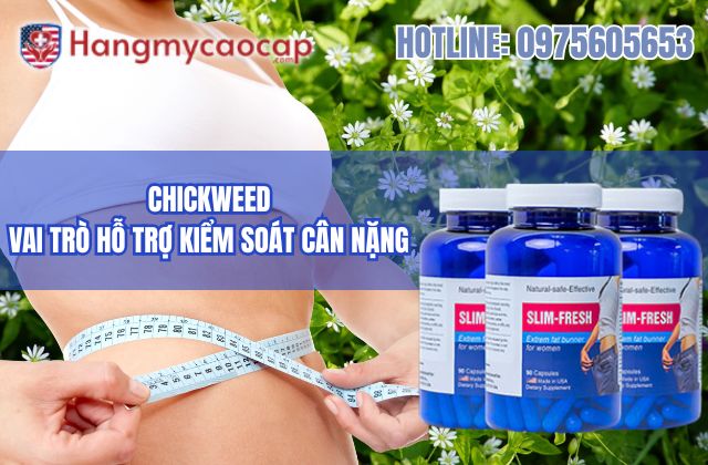 vai trò của chickweed trong slim fresh đối với việc hỗ trợ kiểm soát cân nặng