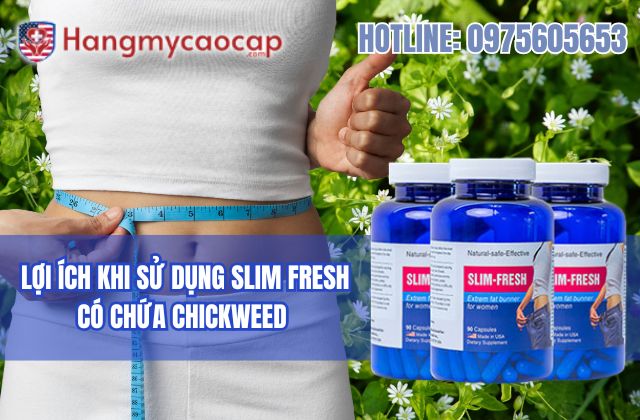 lợi ích khi sử dụng slim fresh có chứa chickweed