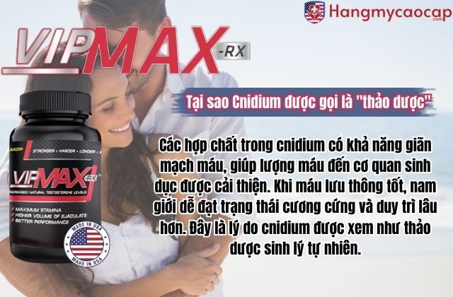 Tại sao Cnidium được gọi là "thảo dược" kích thích ham muốn