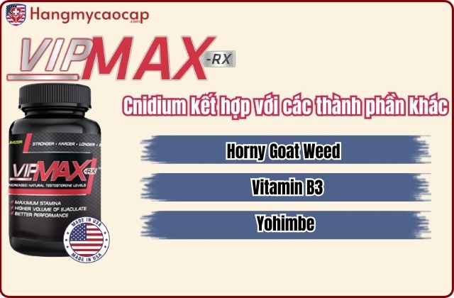 Cnidium kết hợp với các thành phần khác trong Vipmax RX